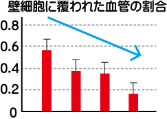 血管