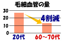 毛細血管の量