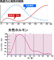 女性ホルモンの曲線